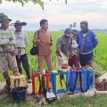 Hama Penggerek Batang Serang 2 Hektar Sawah di Desa Rumpa, Disbuntarnak Polman Terjun Lakukan Pengendalian