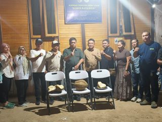 Dorong Durian Polman Tembus Pasar Global, Lahan di Bulo Mulai Diregistrasi Kementan