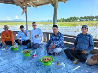 Pimpin Pengendalian Hama Tikus, Bupati Samsul Mahmud Turun Langsung ke Sawah di Parappe 