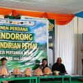 Panen Perdana di Mapilli, Bupati Samsul Mahmud Tegaskan Dukungan Pasar untuk Petani Alami