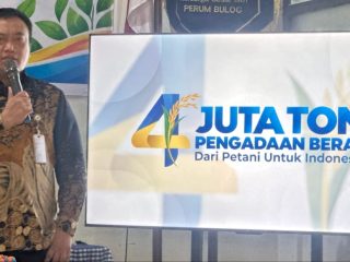 ​Penyerapan Beras Bulog Polman Tembus 35 Ribu Ton, Lampaui Target Demi Ketahanan Pangan Lokal